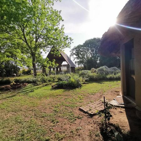 Drakensberg Bush Lodge And Backpackers Winterton Exteriör bild