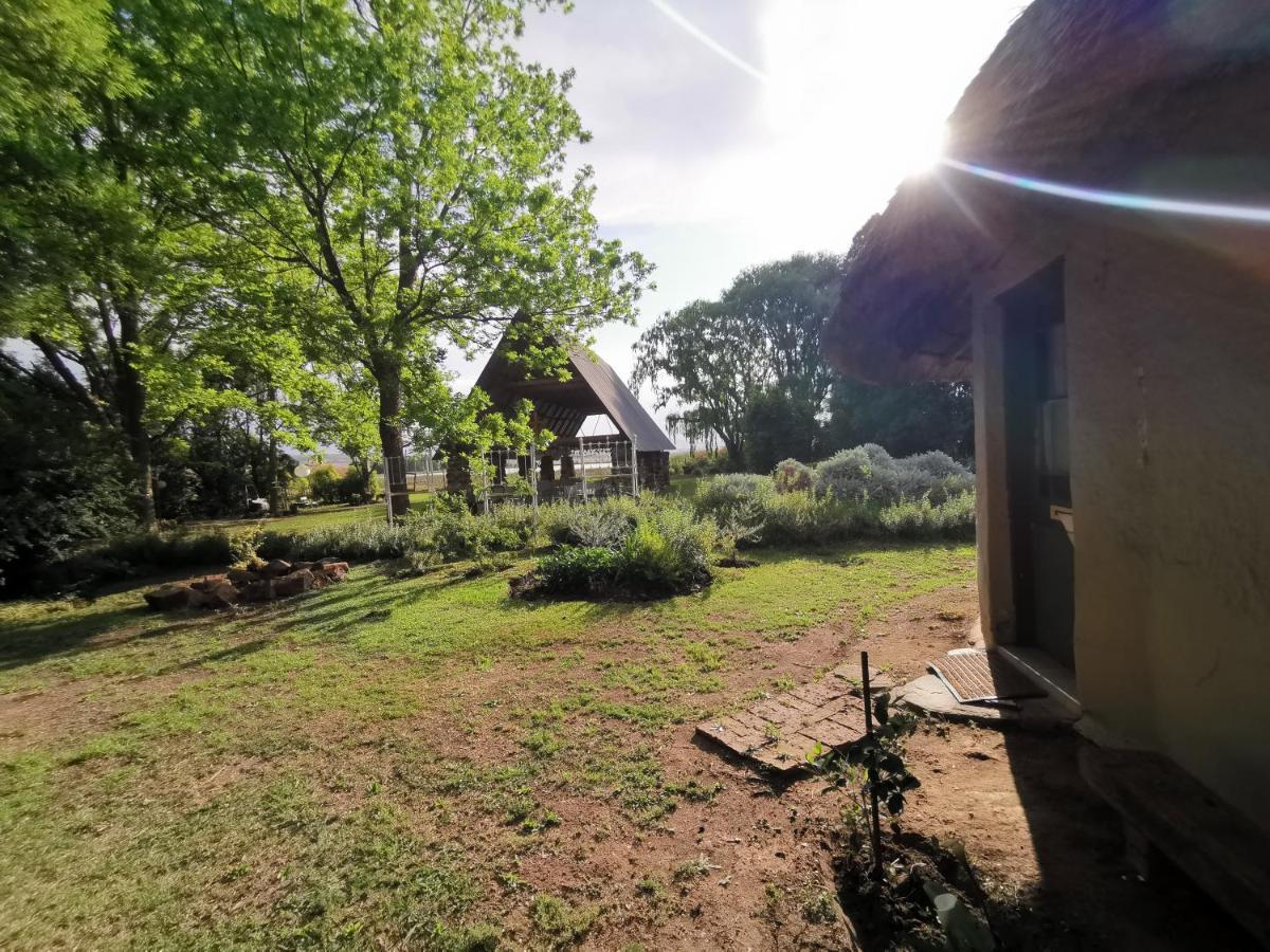 Drakensberg Bush Lodge And Backpackers Winterton Exteriör bild