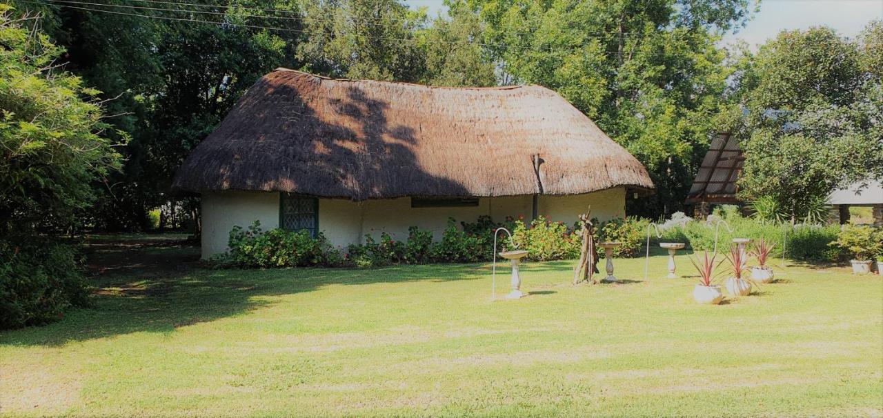 Drakensberg Bush Lodge And Backpackers Winterton Exteriör bild